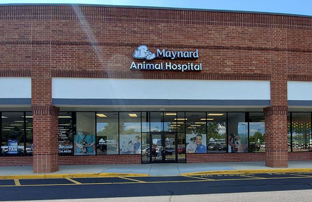maynard animal hospital front view