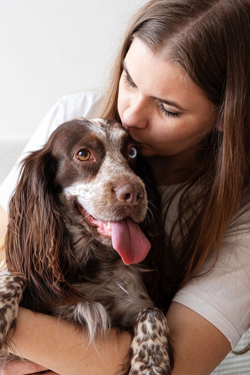 woman embrace kiss russian spaniel dog