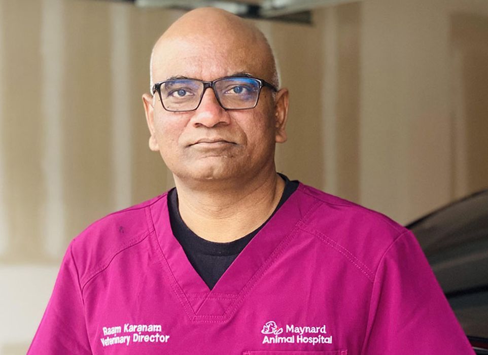 Raam Krishna Karanam
